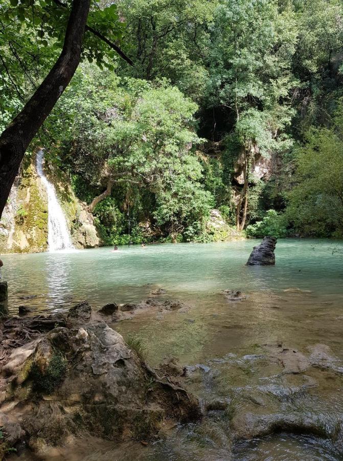 Les Chenes Chez Jo Et Aime Panzió Régusse Kültér fotó